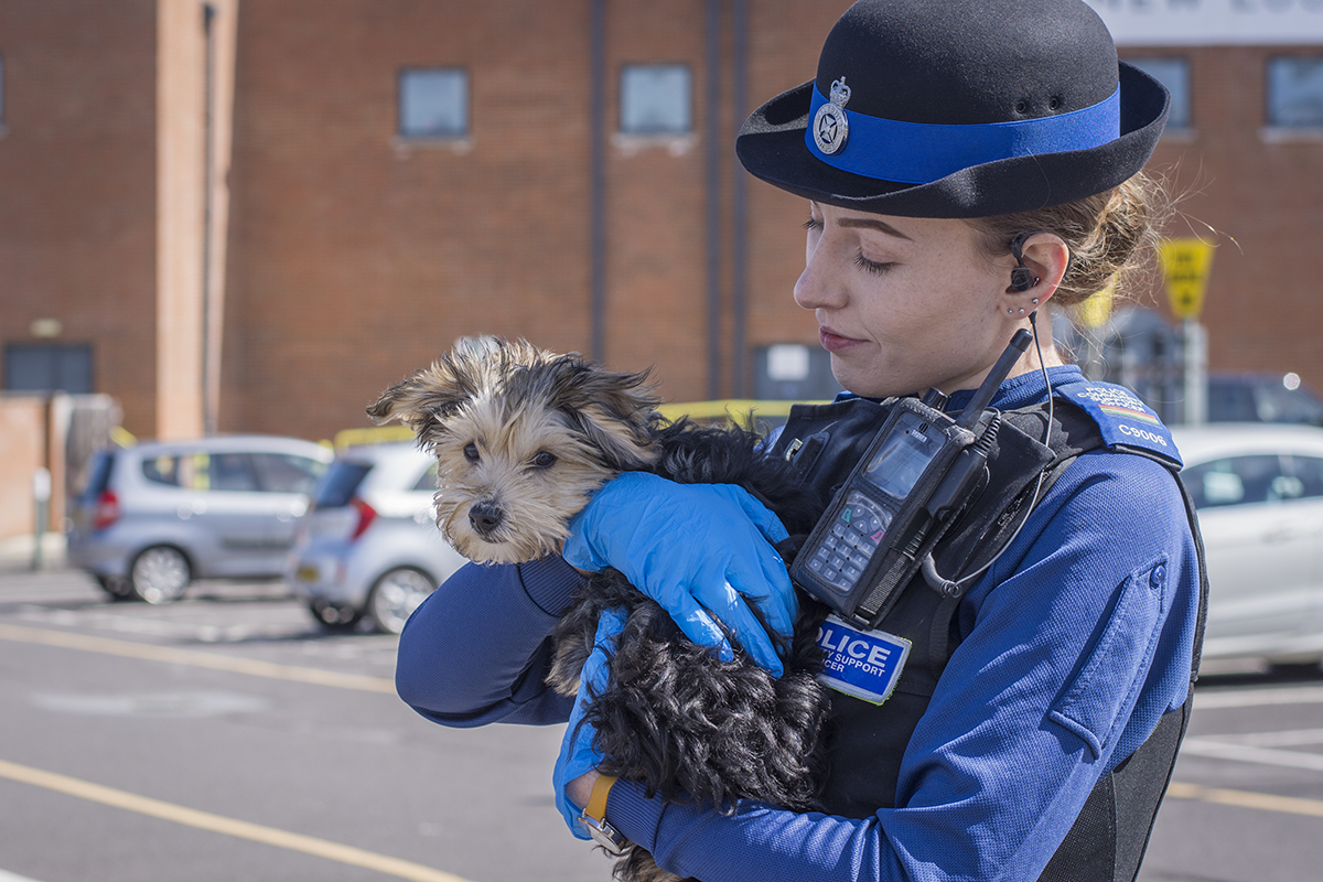 RSPCA called as car window smashed to rescue puppy left in hot car