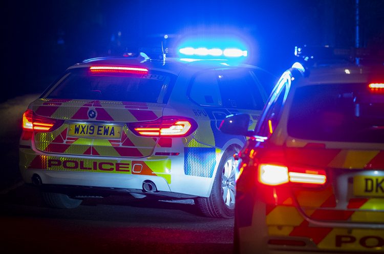 Three Horses Dead In Horror Crash With Car On Busy Wiltshire A-road