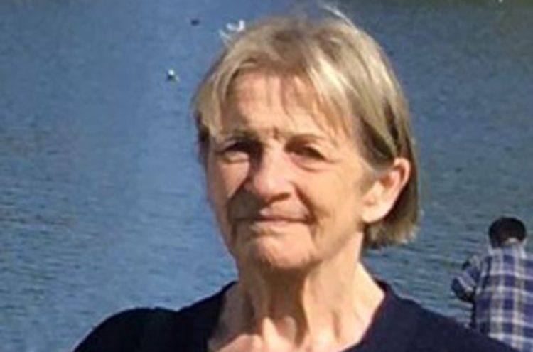 Body Found In 16 Day Search For Missing South Wiltshire Woman