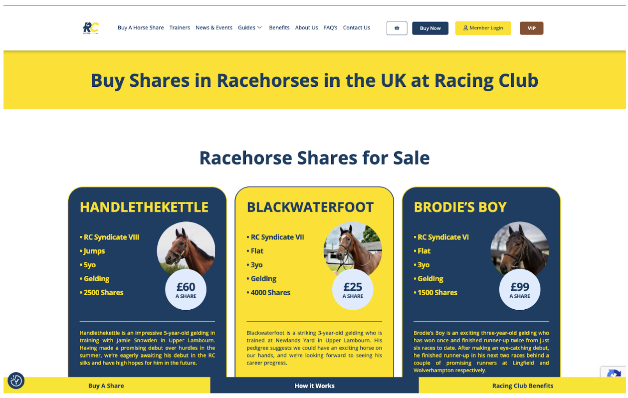 Horse Racing Syndicate UK – Racehorse Shares Available